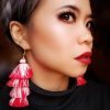Red Ombre Tassel Earrings - Image 6